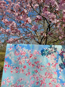 Cherry Blossom