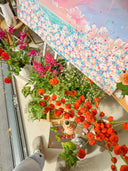 Blossoms by the Shore