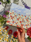 Meadow Bloom