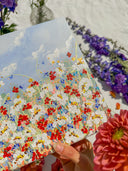 Meadow Bloom