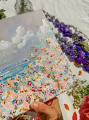 Coastal Bloom